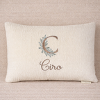 Coussin Velours