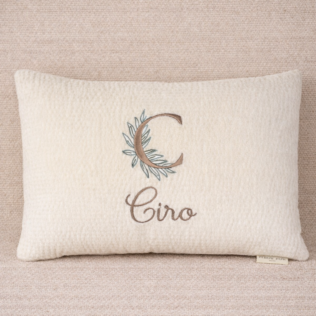 Coussin Velours