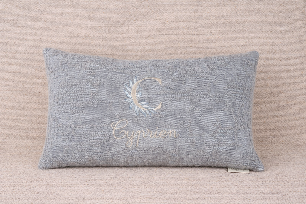 Coussin Velours