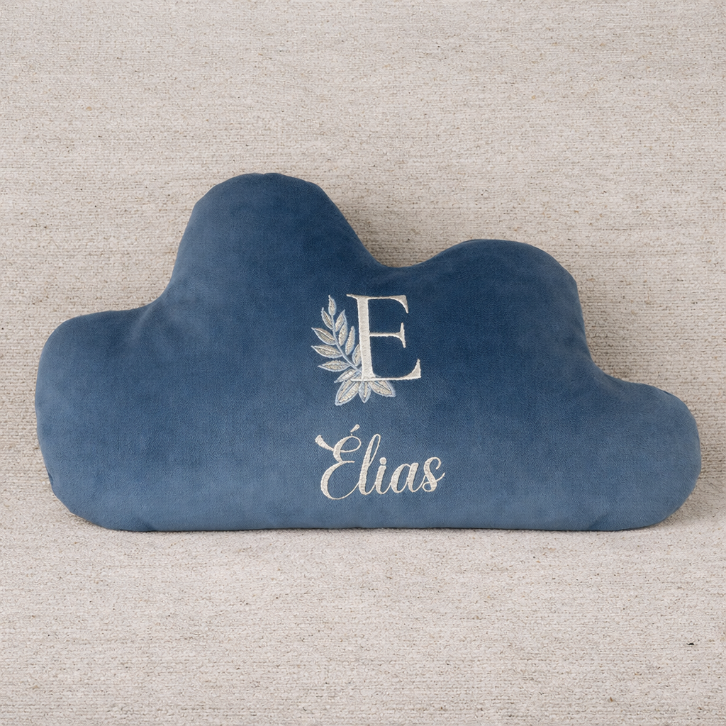 Coussin Velours