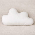 Coussin Velours