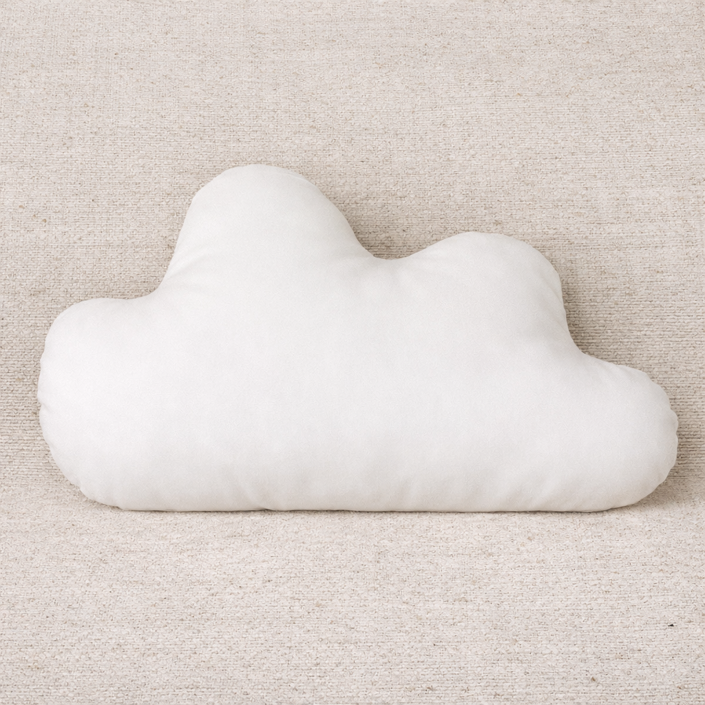 Coussin Velours